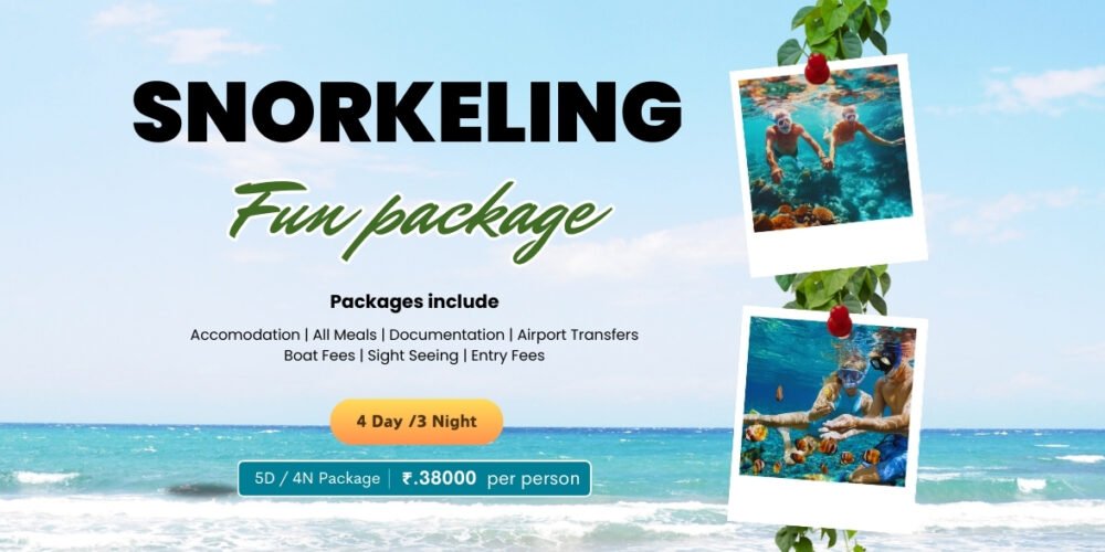 Snorkeling Fun package