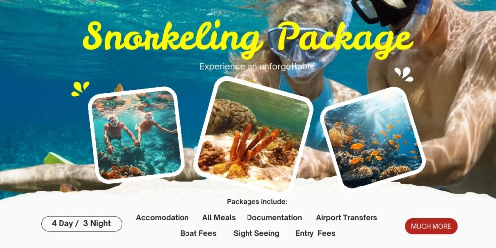 Snorkeling Package
